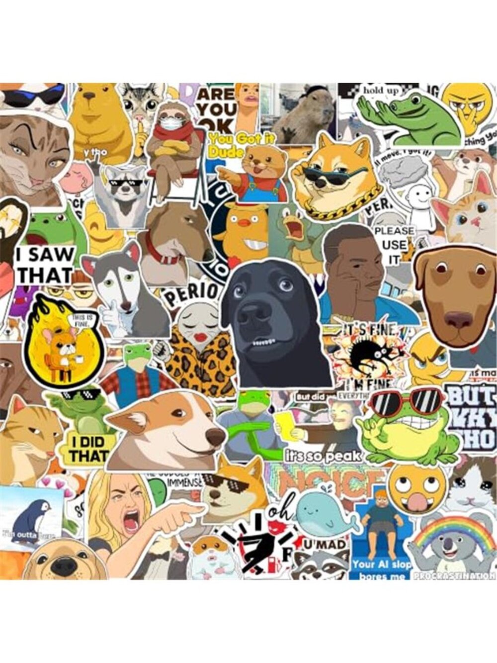 306pcs Funny Meme Vinyl Stickers Pack, Large Bulk Sticker for Laptop, Phone,